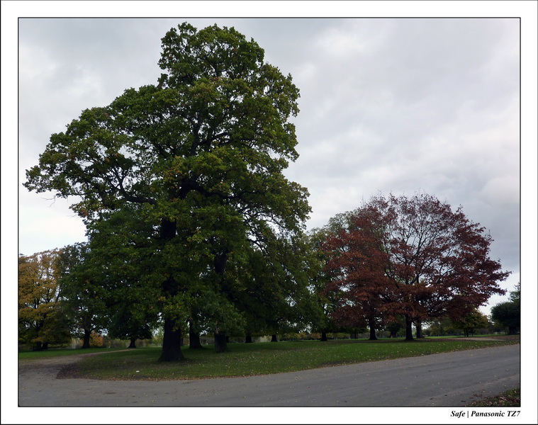 2010 - 10 - Stamford 29